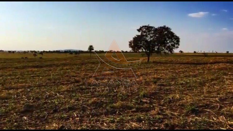 Aliança Imóveis - Imobiliária em Ribeirão Preto - SP - Fazenda  - Zona Rural - Santa Vitoria