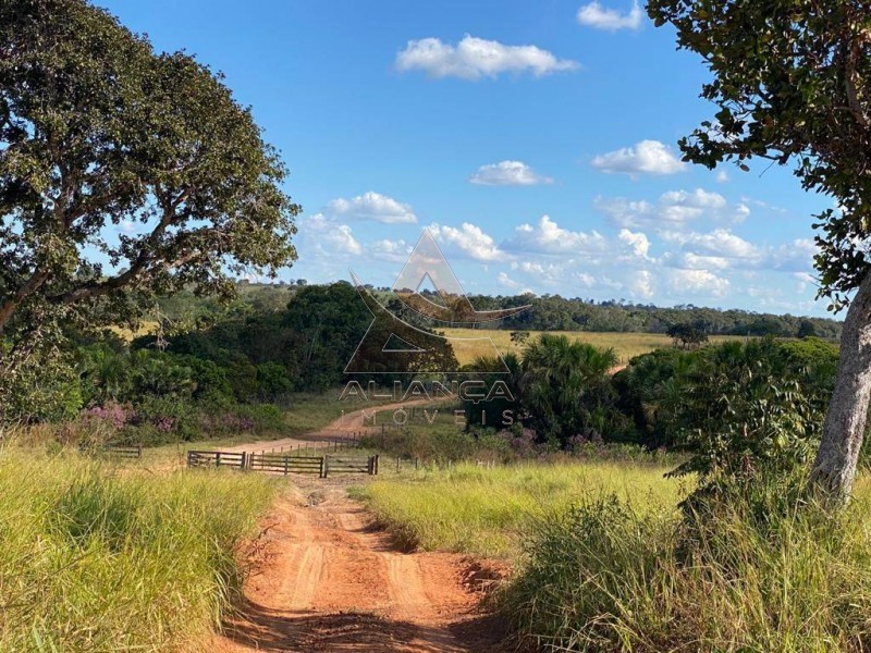 Aliança Imóveis - Imobiliária em Ribeirão Preto - SP - Fazenda  - Zona Rural - Santa Vitoria