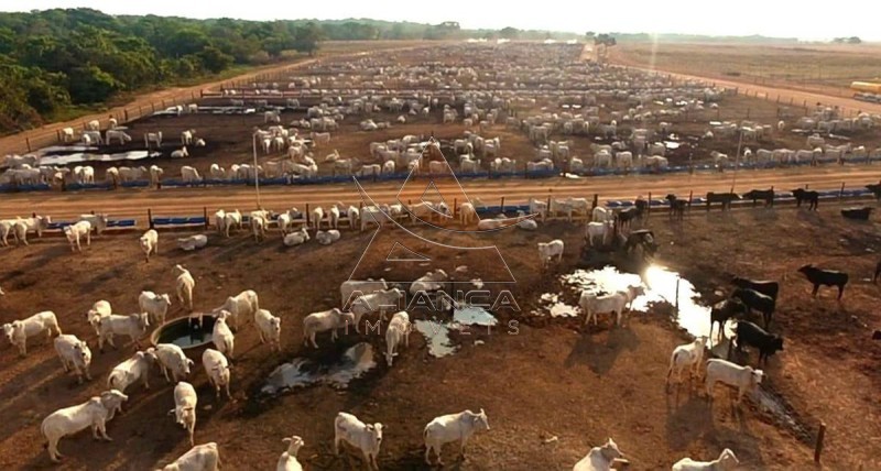 Aliança Imóveis - Imobiliária em Ribeirão Preto - SP - Fazenda  - Zona Rural - Miranorte