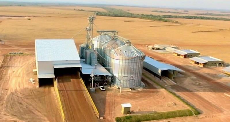 Aliança Imóveis - Imobiliária em Ribeirão Preto - SP - Fazenda  - Zona Rural - Miranorte