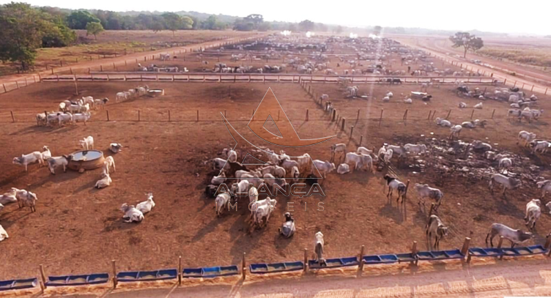 Aliança Imóveis - Imobiliária em Ribeirão Preto - SP - Fazenda  - Zona Rural - Miranorte