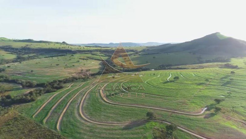 Aliança Imóveis - Imobiliária em Ribeirão Preto - SP - Fazenda  - Zona Rural - Caiapônia 