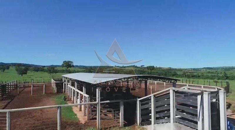 Aliança Imóveis - Imobiliária em Ribeirão Preto - SP - Fazenda  - Zona Rural - Caiapônia 