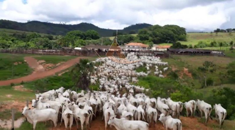 Aliança Imóveis - Imobiliária em Ribeirão Preto - SP - Fazenda  - Zona Rural - Caiapônia 