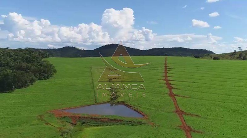 Aliança Imóveis - Imobiliária em Ribeirão Preto - SP - Fazenda  - Zona Rural - Caiapônia 