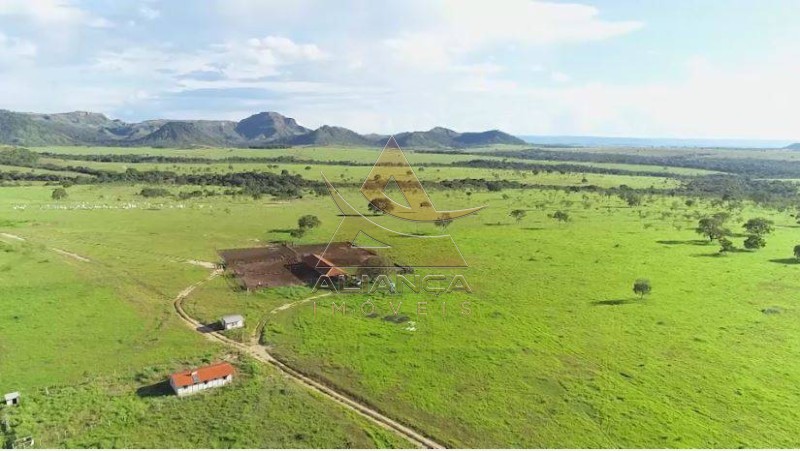Aliança Imóveis - Imobiliária em Ribeirão Preto - SP - Fazenda  - Zona Rural - Caiapônia 