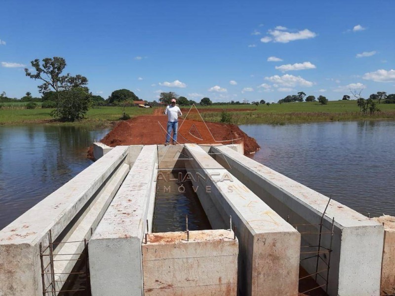 Aliança Imóveis - Imobiliária em Ribeirão Preto - SP - Fazenda  - Zona Rural - Caiapônia 