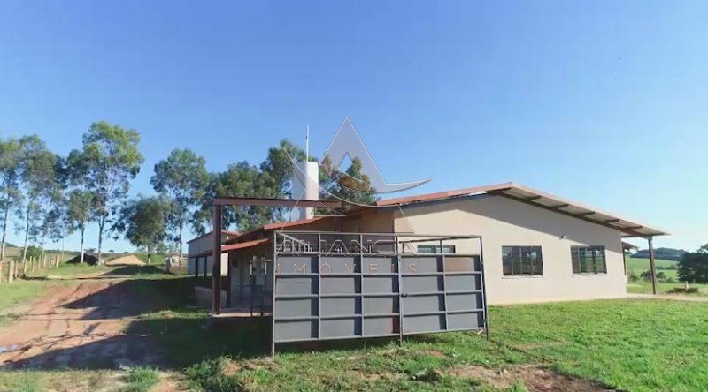 Aliança Imóveis - Imobiliária em Ribeirão Preto - SP - Fazenda  - Zona Rural - Caiapônia 