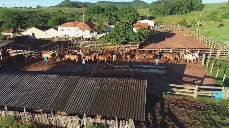 Aliança Imóveis - Imobiliária em Ribeirão Preto - SP - Fazenda  - Zona Rural - Caiapônia 