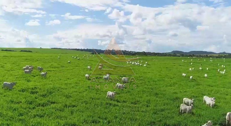 Aliança Imóveis - Imobiliária em Ribeirão Preto - SP - Fazenda  - Zona Rural - Caiapônia 