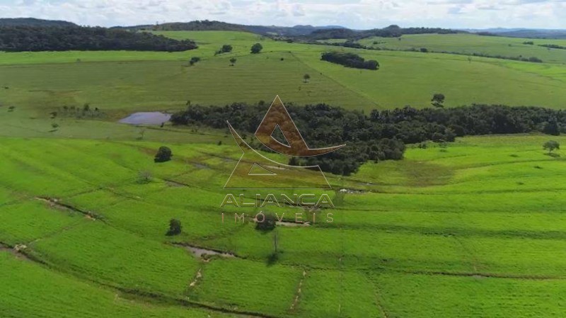 Aliança Imóveis - Imobiliária em Ribeirão Preto - SP - Fazenda  - Zona Rural - Caiapônia 
