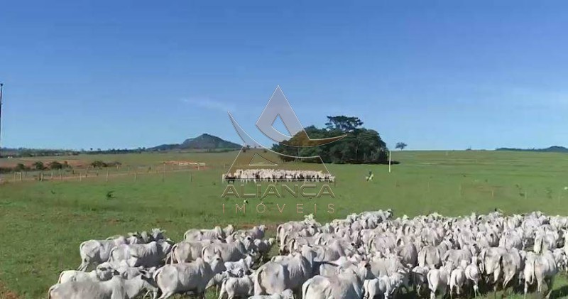 Aliança Imóveis - Imobiliária em Ribeirão Preto - SP - Fazenda  - Zona Rural - Caiapônia 