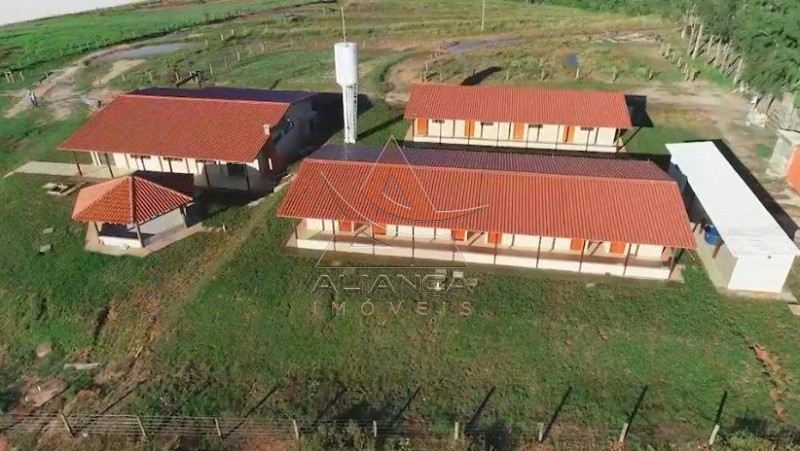 Aliança Imóveis - Imobiliária em Ribeirão Preto - SP - Fazenda  - Zona Rural - Caiapônia 