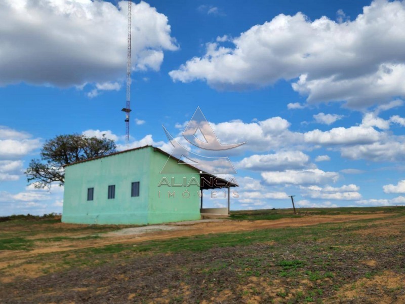Aliança Imóveis - Imobiliária em Ribeirão Preto - SP - Fazenda  - Zona Rural - Campinorte