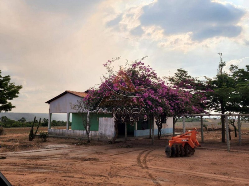 Aliança Imóveis - Imobiliária em Ribeirão Preto - SP - Fazenda  - Zona Rural - Campinorte