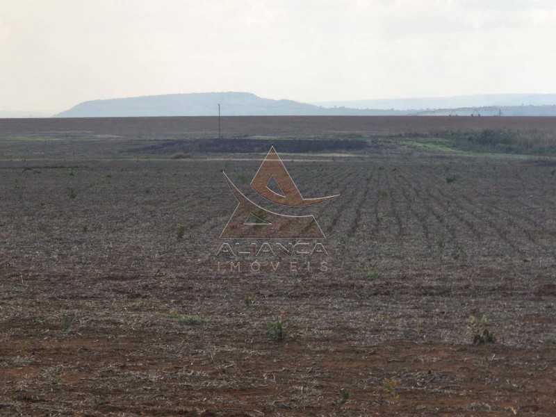 Aliança Imóveis - Imobiliária em Ribeirão Preto - SP - Fazenda  - Zona Rural - Campinorte