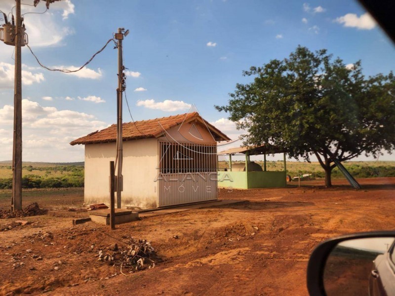 Aliança Imóveis - Imobiliária em Ribeirão Preto - SP - Fazenda  - Zona Rural - Campinorte