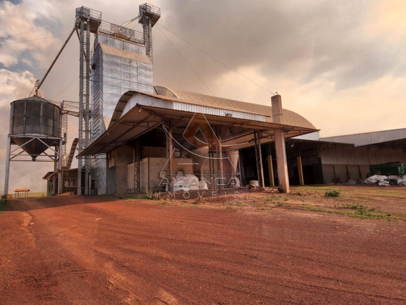 Aliança Imóveis - Imobiliária em Ribeirão Preto - SP - Fazenda  - Zona Rural - Campinorte