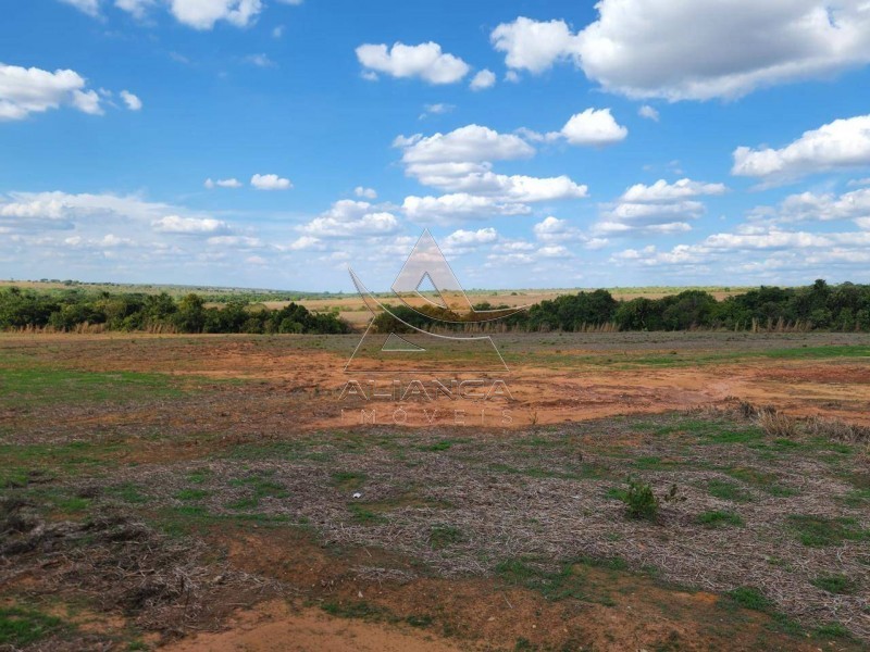 Aliança Imóveis - Imobiliária em Ribeirão Preto - SP - Fazenda  - Zona Rural - Campinorte