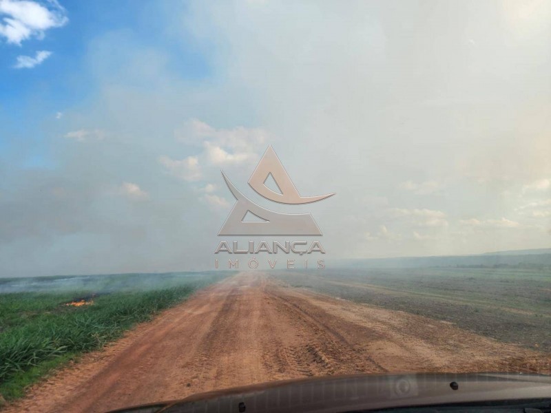 Aliança Imóveis - Imobiliária em Ribeirão Preto - SP - Fazenda  - Zona Rural - Campinorte
