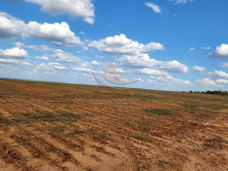 Aliança Imóveis - Imobiliária em Ribeirão Preto - SP - Fazenda  - Zona Rural - Campinorte