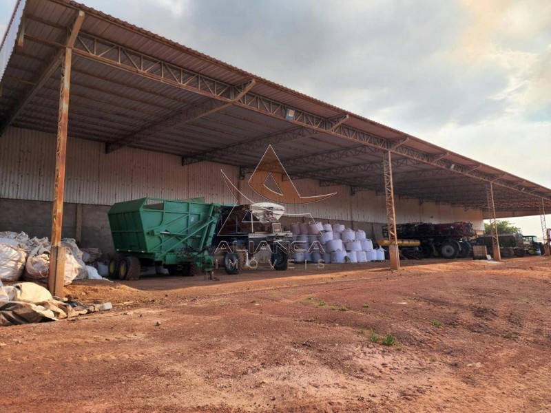 Aliança Imóveis - Imobiliária em Ribeirão Preto - SP - Fazenda  - Zona Rural - Campinorte