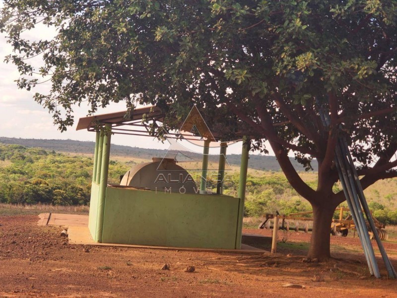 Aliança Imóveis - Imobiliária em Ribeirão Preto - SP - Fazenda  - Zona Rural - Campinorte