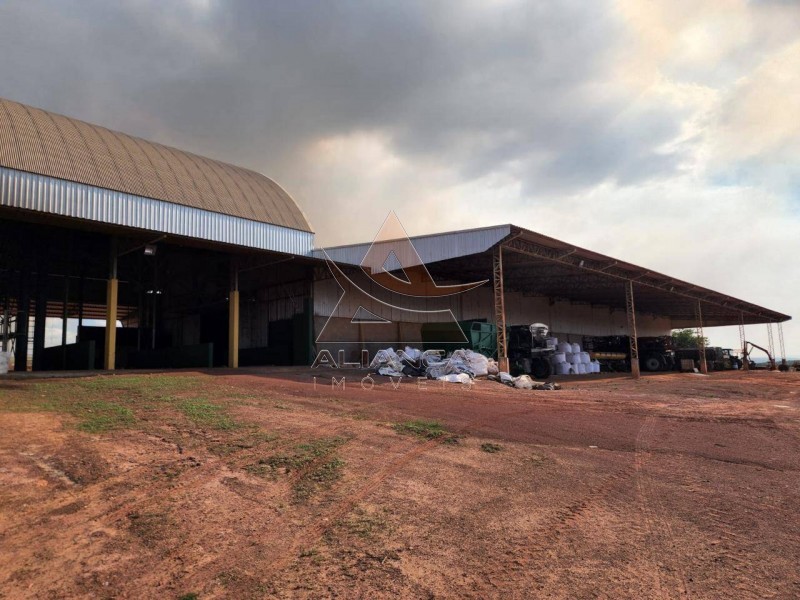Aliança Imóveis - Imobiliária em Ribeirão Preto - SP - Fazenda  - Zona Rural - Campinorte