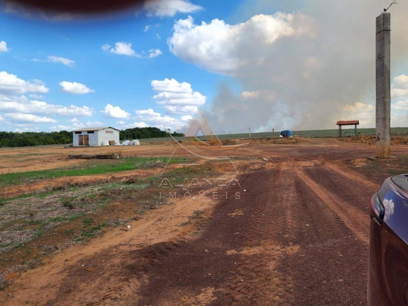 Aliança Imóveis - Imobiliária em Ribeirão Preto - SP - Fazenda  - Zona Rural - Campinorte