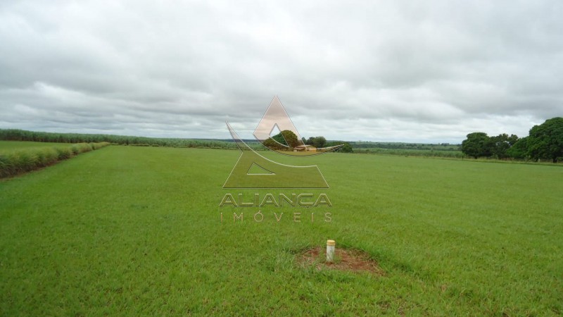Aliança Imóveis - Imobiliária em Ribeirão Preto - SP - Fazenda  - Zona Rural - Rancharia 