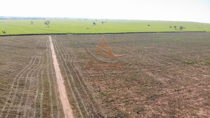Aliança Imóveis - Imobiliária em Ribeirão Preto - SP - Fazenda  - Zona Rural - Rancharia 