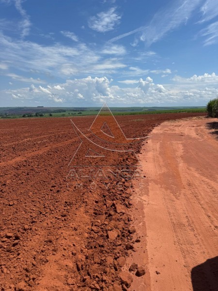 Aliança Imóveis - Imobiliária em Ribeirão Preto - SP - Fazenda  - Zona Rural - Gavião Peixoto
