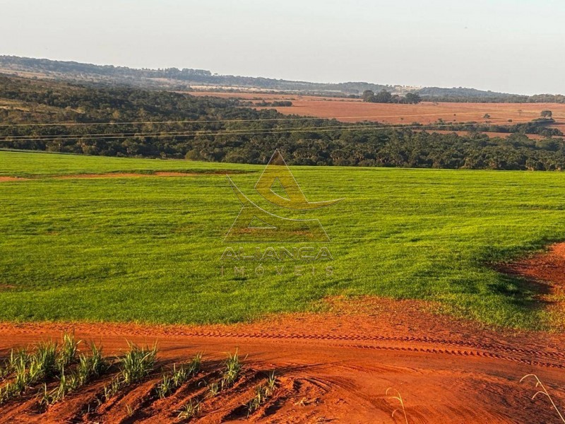Aliança Imóveis - Imobiliária em Ribeirão Preto - SP - Fazenda  - Zona Rural - Prata
