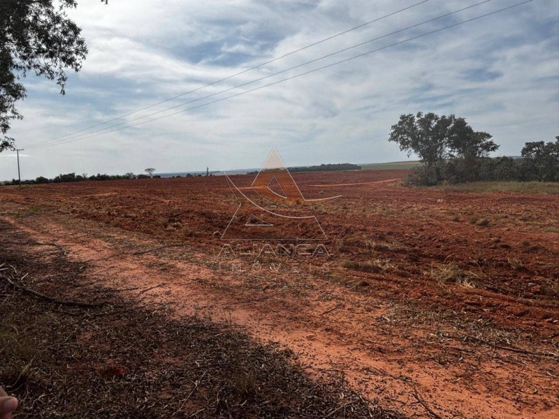 Aliança Imóveis - Imobiliária em Ribeirão Preto - SP - Fazenda  - Zona Rural - Prata