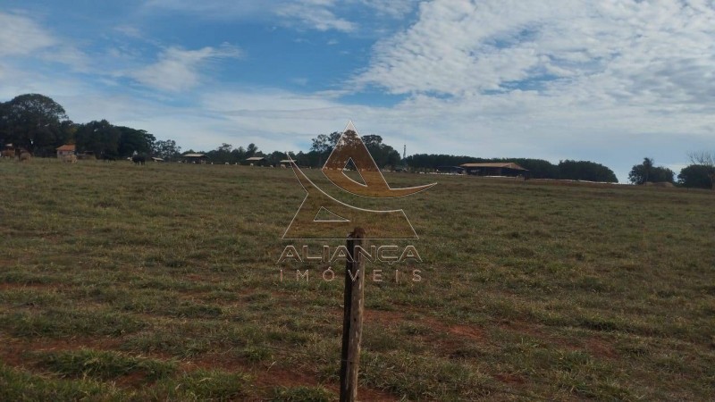 Aliança Imóveis - Imobiliária em Ribeirão Preto - SP - Fazenda  - Zona Rural - Prata