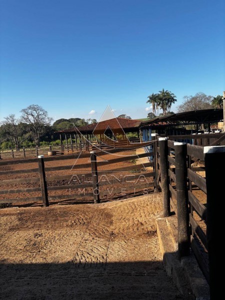 Aliança Imóveis - Imobiliária em Ribeirão Preto - SP - Fazenda  - Zona Rural - Prata