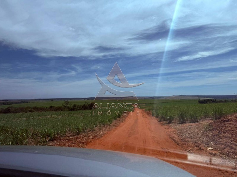 Aliança Imóveis - Imobiliária em Ribeirão Preto - SP - Fazenda  - Zona Rural - Prata