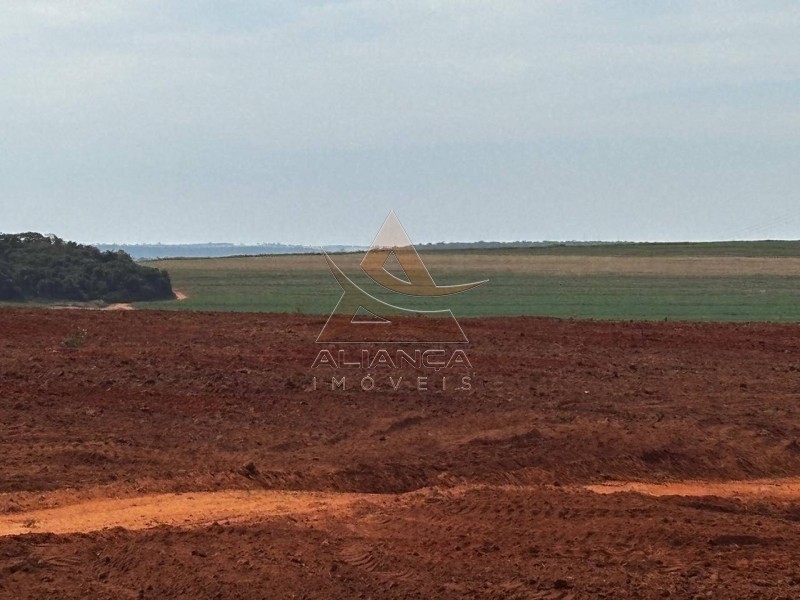 Aliança Imóveis - Imobiliária em Ribeirão Preto - SP - Fazenda  - Zona Rural - Prata