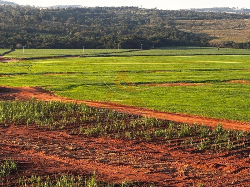 Aliança Imóveis - Imobiliária em Ribeirão Preto - SP - Fazenda  - Zona Rural - Prata
