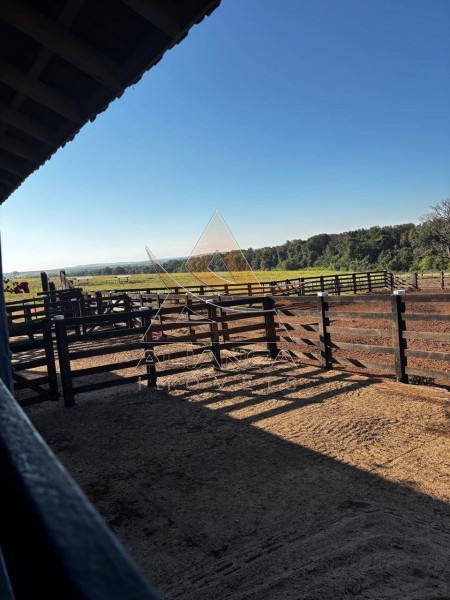 Aliança Imóveis - Imobiliária em Ribeirão Preto - SP - Fazenda  - Zona Rural - Prata