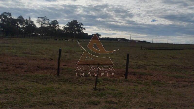 Aliança Imóveis - Imobiliária em Ribeirão Preto - SP - Fazenda  - Zona Rural - Prata