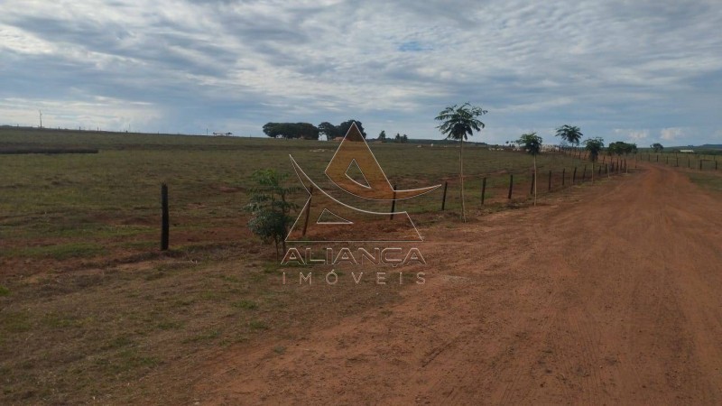 Aliança Imóveis - Imobiliária em Ribeirão Preto - SP - Fazenda  - Zona Rural - Prata