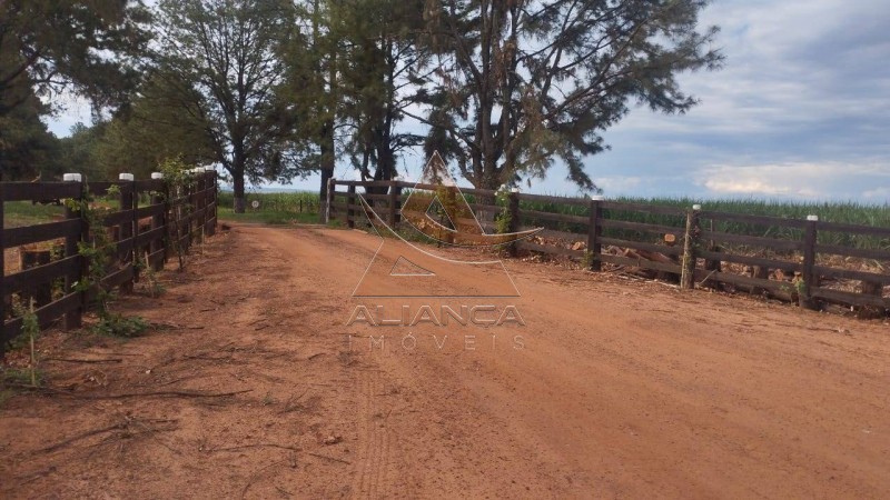 Aliança Imóveis - Imobiliária em Ribeirão Preto - SP - Fazenda  - Zona Rural - Prata
