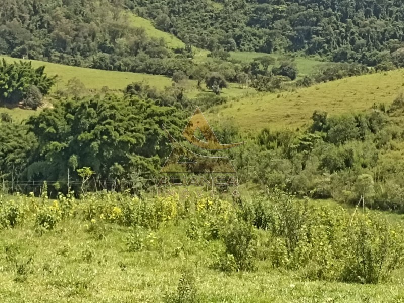 Aliança Imóveis - Imobiliária em Ribeirão Preto - SP - Fazenda  - Zona Rural - Itapira