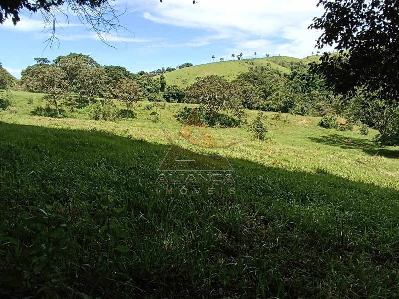 Aliança Imóveis - Imobiliária em Ribeirão Preto - SP - Fazenda  - Zona Rural - Itapira