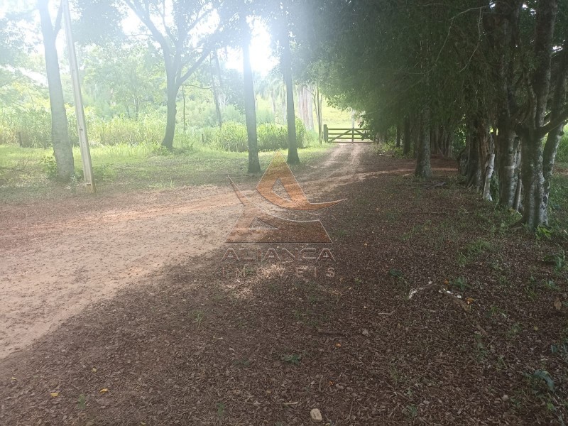 Aliança Imóveis - Imobiliária em Ribeirão Preto - SP - Fazenda  - Zona Rural - Itapira