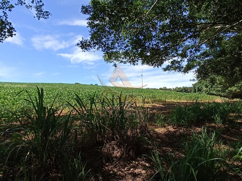 Aliança Imóveis - Imobiliária em Ribeirão Preto - SP - Fazenda  - Zona Rural - Itapira