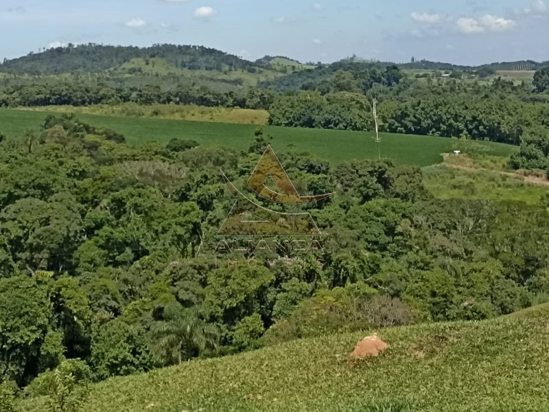Aliança Imóveis - Imobiliária em Ribeirão Preto - SP - Fazenda  - Zona Rural - Itapira
