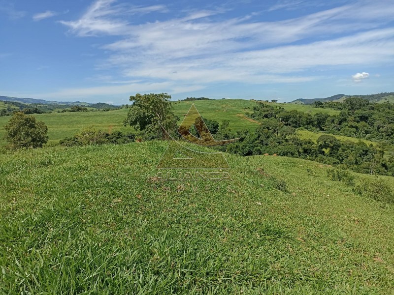 Aliança Imóveis - Imobiliária em Ribeirão Preto - SP - Fazenda  - Zona Rural - Itapira