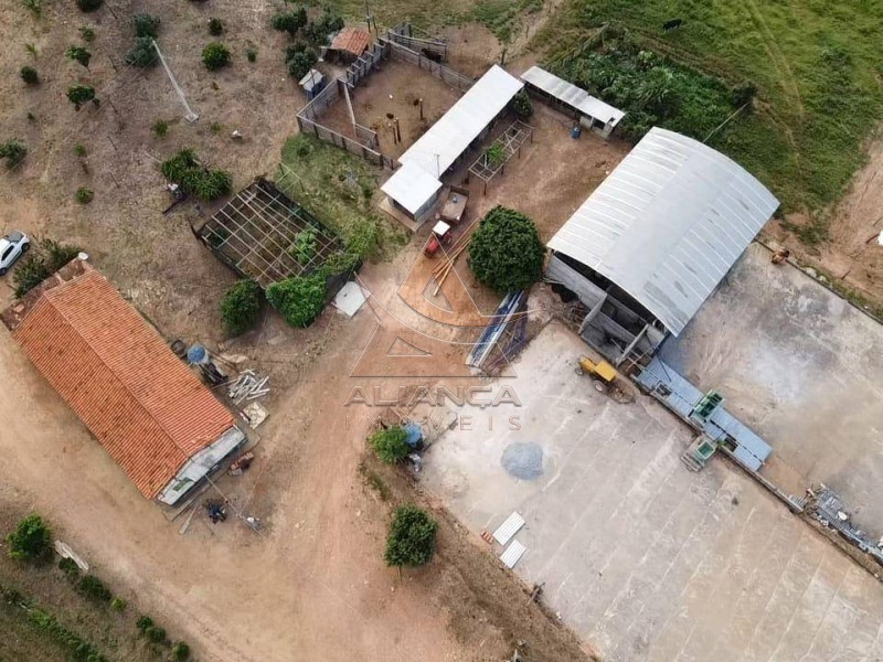 Aliança Imóveis - Imobiliária em Ribeirão Preto - SP - Fazenda  - Zona Rural - Capitólio
